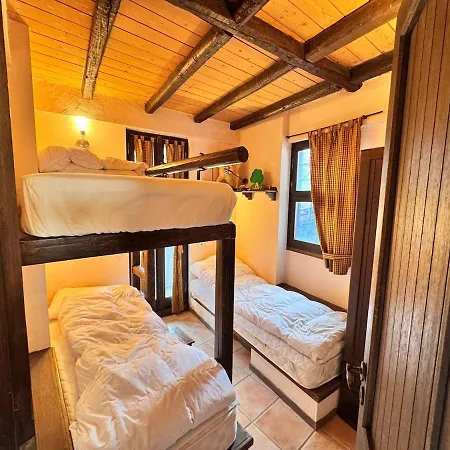 Paragon Of 아라초바